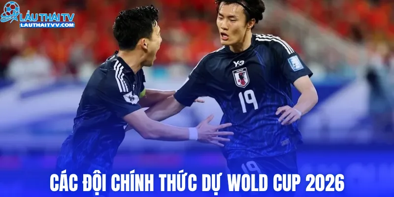 Các đội chính thức dự Wold Cup 2026 
